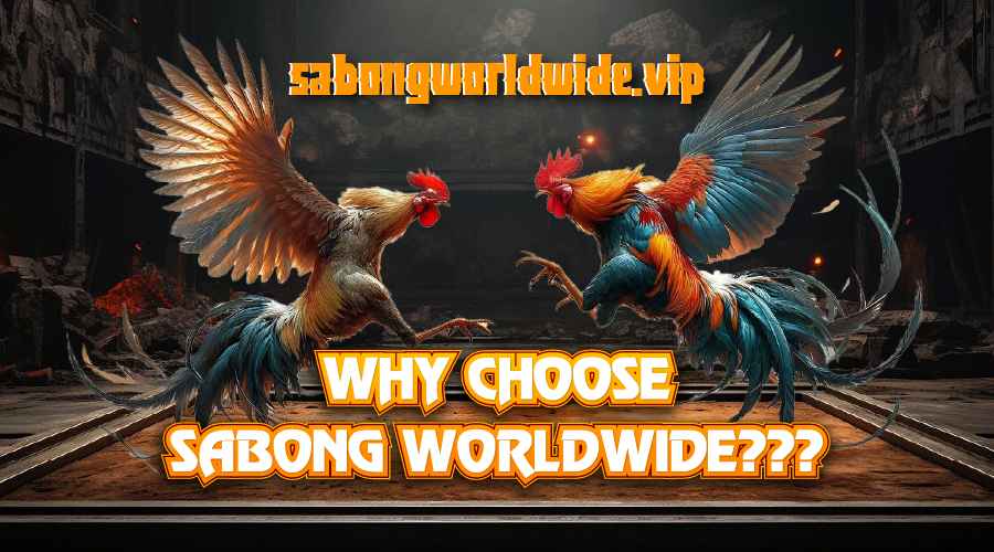 Why Choose Sabong Worldwide