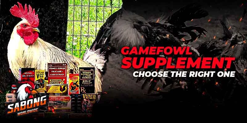 Gamefowl Supplement: Choose the Right One